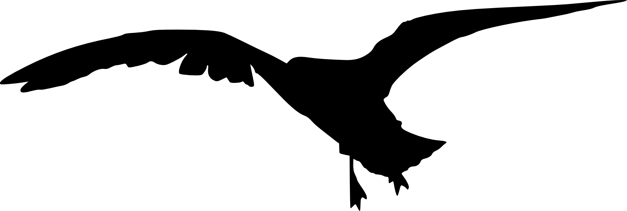 15 Bird Silhouette - Vulture Drawing Transparent Background (2000x674)