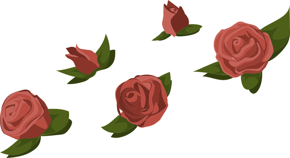 Red Rose Cartoon 16, - Rose Buds Transparent (960x522)