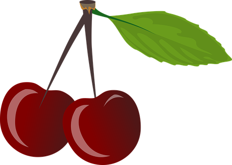 Brace Cherries Cherry Food Leaf Pair Red R - Cherries Clipart (477x340)