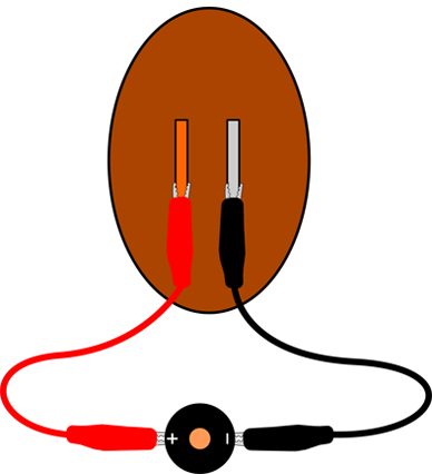 Potato Battery Piezo Buzzer Veggie Power Buzzer - Buzzer (388x426)
