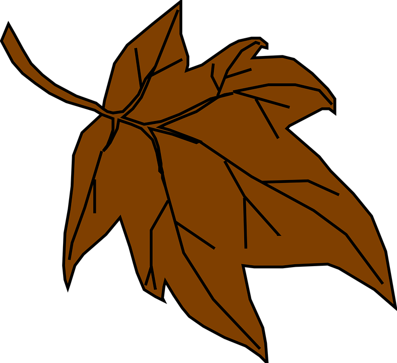 Autumn Leaves Falling Down Vector Illustration Stock - Fall Leaves Clip Art (787x720)