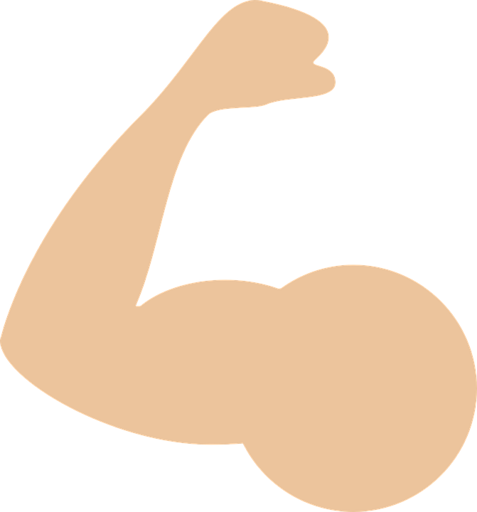 Muscle - Muscle Vector Png (671x720)
