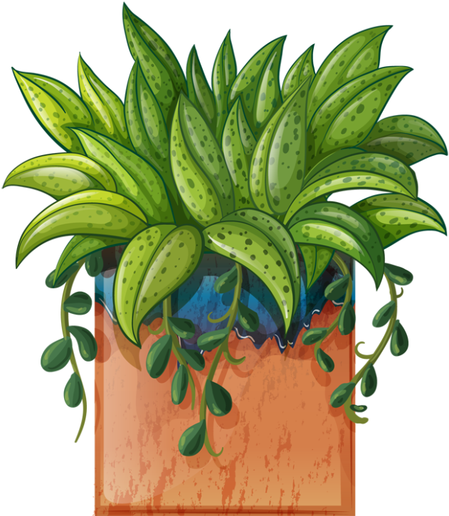 Clip Art Of Beautiful Plants For The Spring Garden - Beautiful Plant Clipart (640x727)