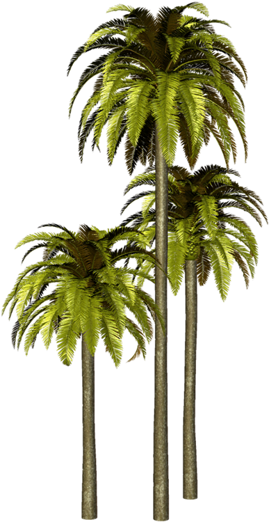 Domingo, 20 De Septiembre De - Palmeras Png Para Photoshop (405x800)