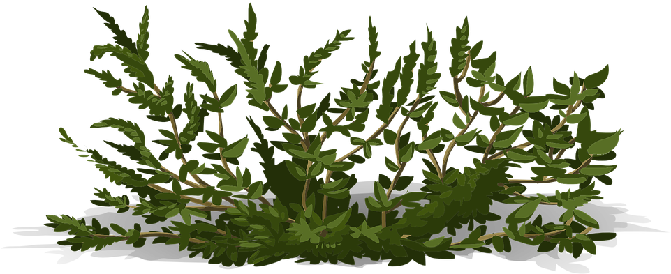 You Might Also Like - Gardening Dirt Cheap Therapy - Funny Gardener Gift (960x480)