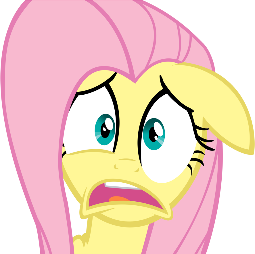 Sl5z6lb - My Little Pony Friendship Is Magic Fluttershy Scared (900x882)