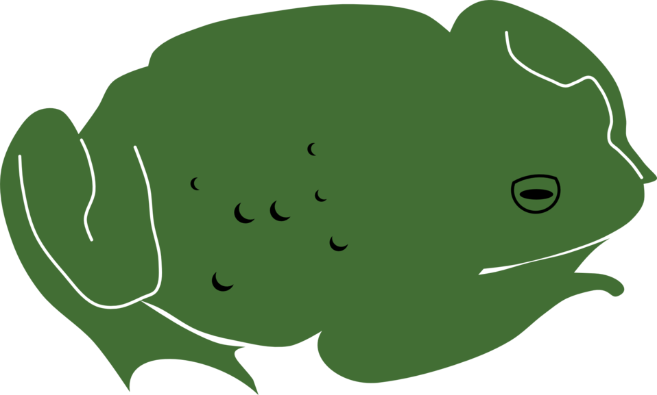 Toad By Rones - Custom Green Toad Shower Curtain (2400x1444)