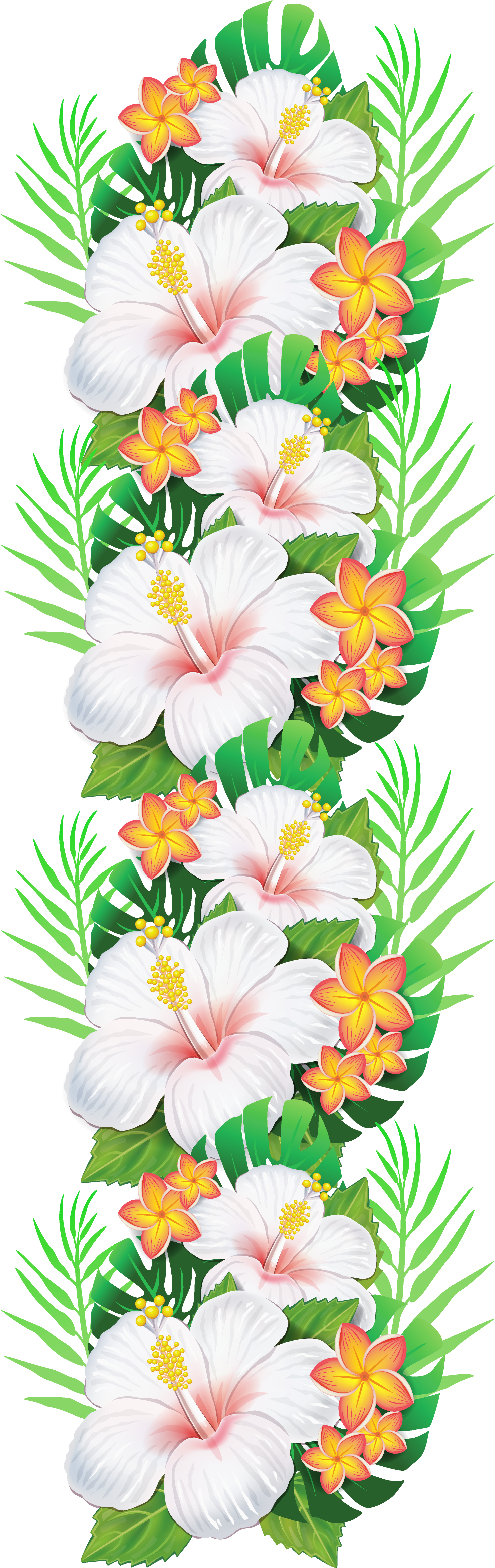White Exotic Flowers Decoration Png Clipart - Tropical Flower Clipart (1638x4842)