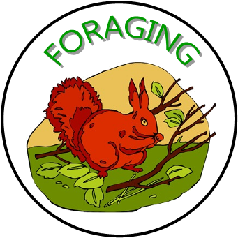 Antares Size (375x375)