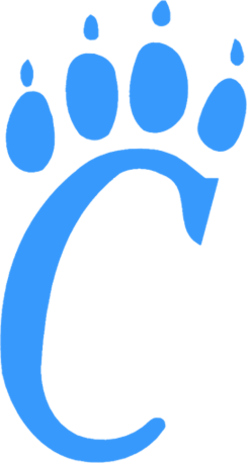 Frontier Logo - Marc Stainless Steel Vacuum Insulated Travel Tumbler (480x901)