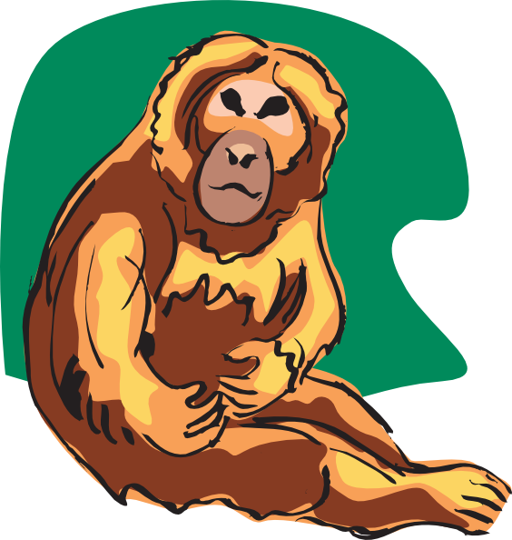 Chimpanzee (564x594)