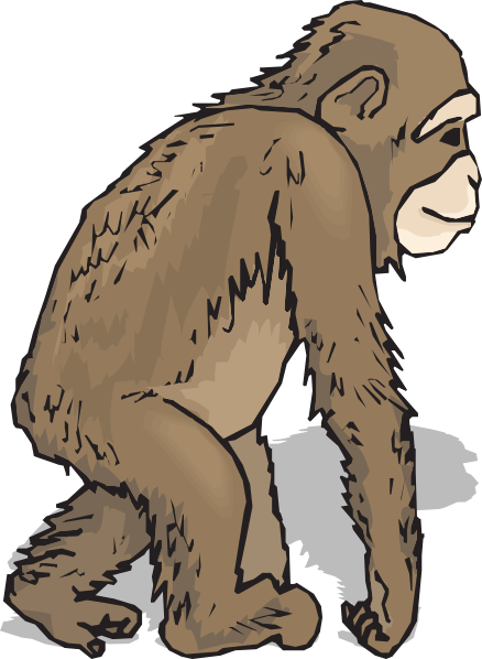 Walking Chimp Clip Art - Affe Zum Ausmalen (438x598)