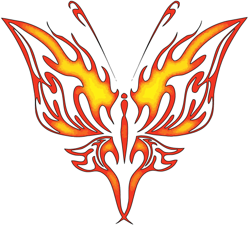 Tribal Butterfly Tattoos Designs High Quality Photos - Tattoo (500x500)