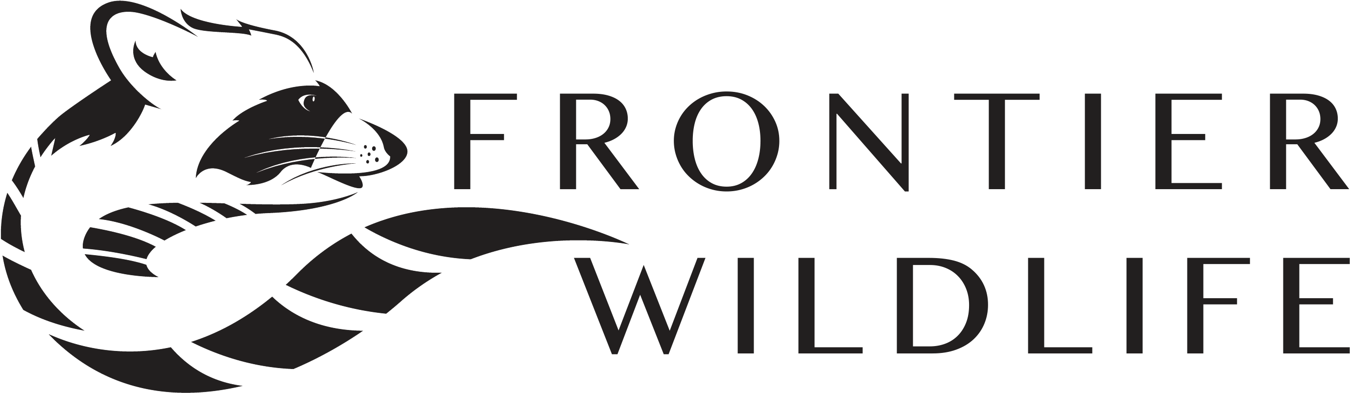 Raccoon Vector (3000x1000)