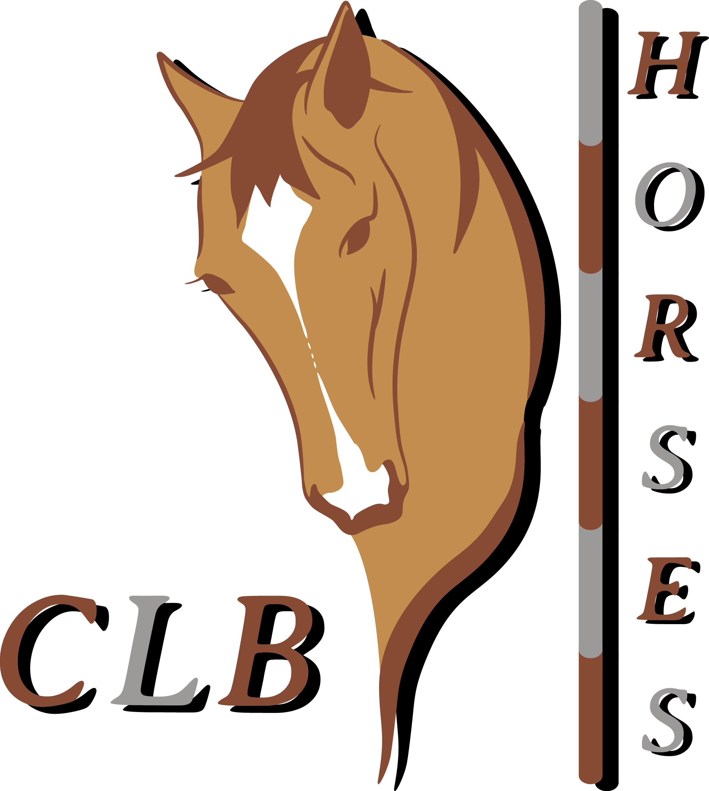 Clb Horses - La Passione - - Mane (2386x2664)