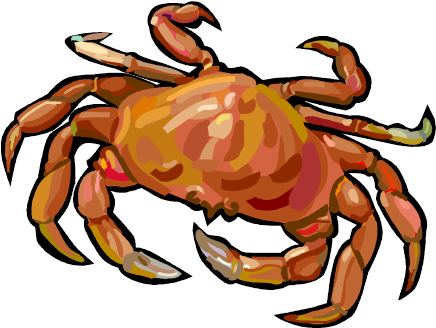 Learn How To Crack A Crab Followed By Crab Cakes - Everyday Life (480x368)