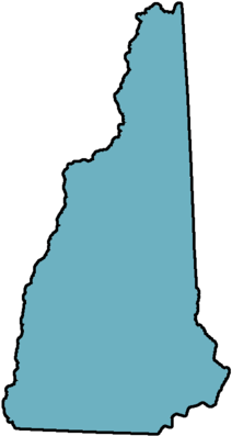 New Hampshire Ratifies Constitution - New Hampshire Ratifies Constitution (435x480)