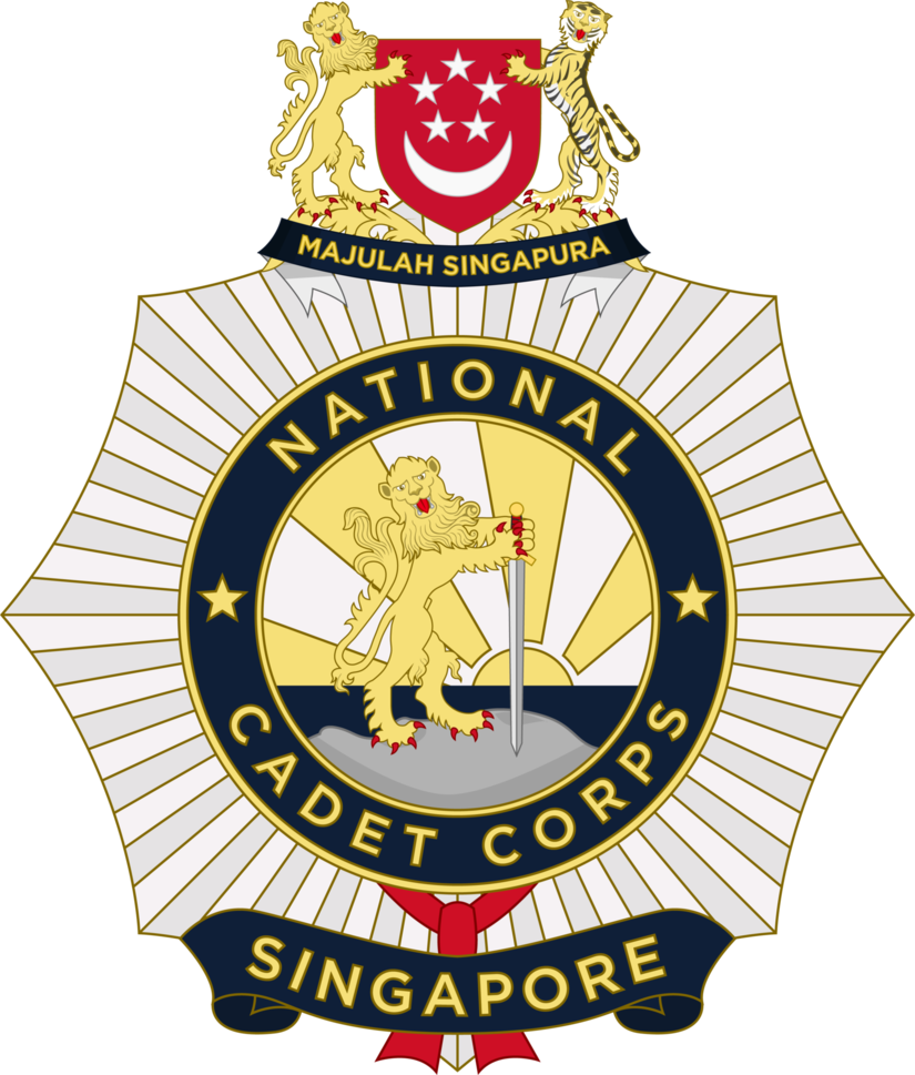 View Deviation - Pain In Spine (825x969)