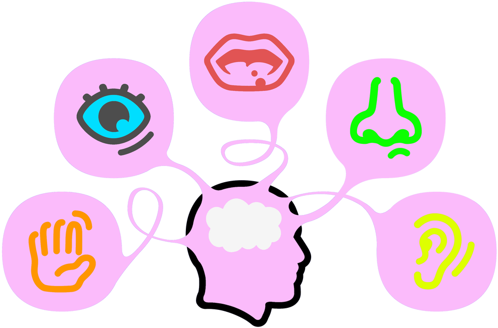 The Senses - Sensory Branding (1038x800)