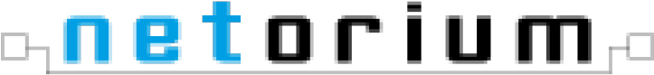 Arvato It Logo Netorium-partnerlogo - Colorfulness (768x345)