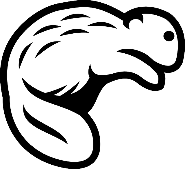 Beaver Outline Clip Art At Clker - Black And White Beaver Clipart (640x583)