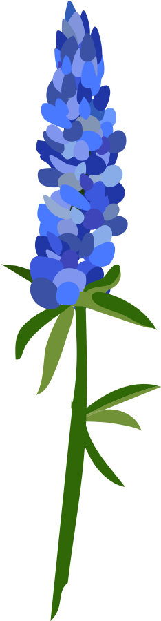 -by Lila - Blue Bonnet Picart Transparent Background (436x1000)
