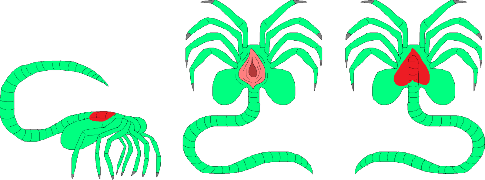 Xenomorph Clipart Cat - Non Xenomorph Pregnancy (1600x594)