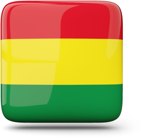 Bolivia - Bolivia Flag Square (640x480)