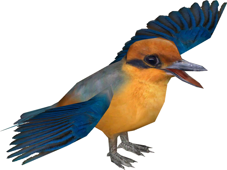 Micronesian Kingfisher - Micronesian Kingfisher (782x782)