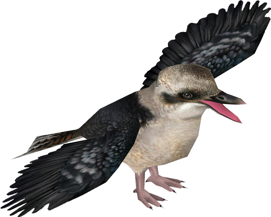 Laughing Kookaburra - Kookaburra Png (916x916)