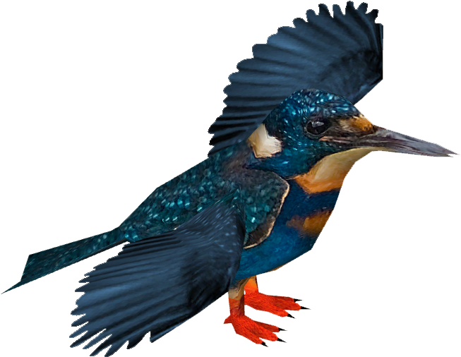 Bismarck Kingfisher - Blyth's Kingfisher (652x652)