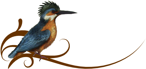 Birds And Butterflies Corinne Artwork - Woodpecker (519x346)