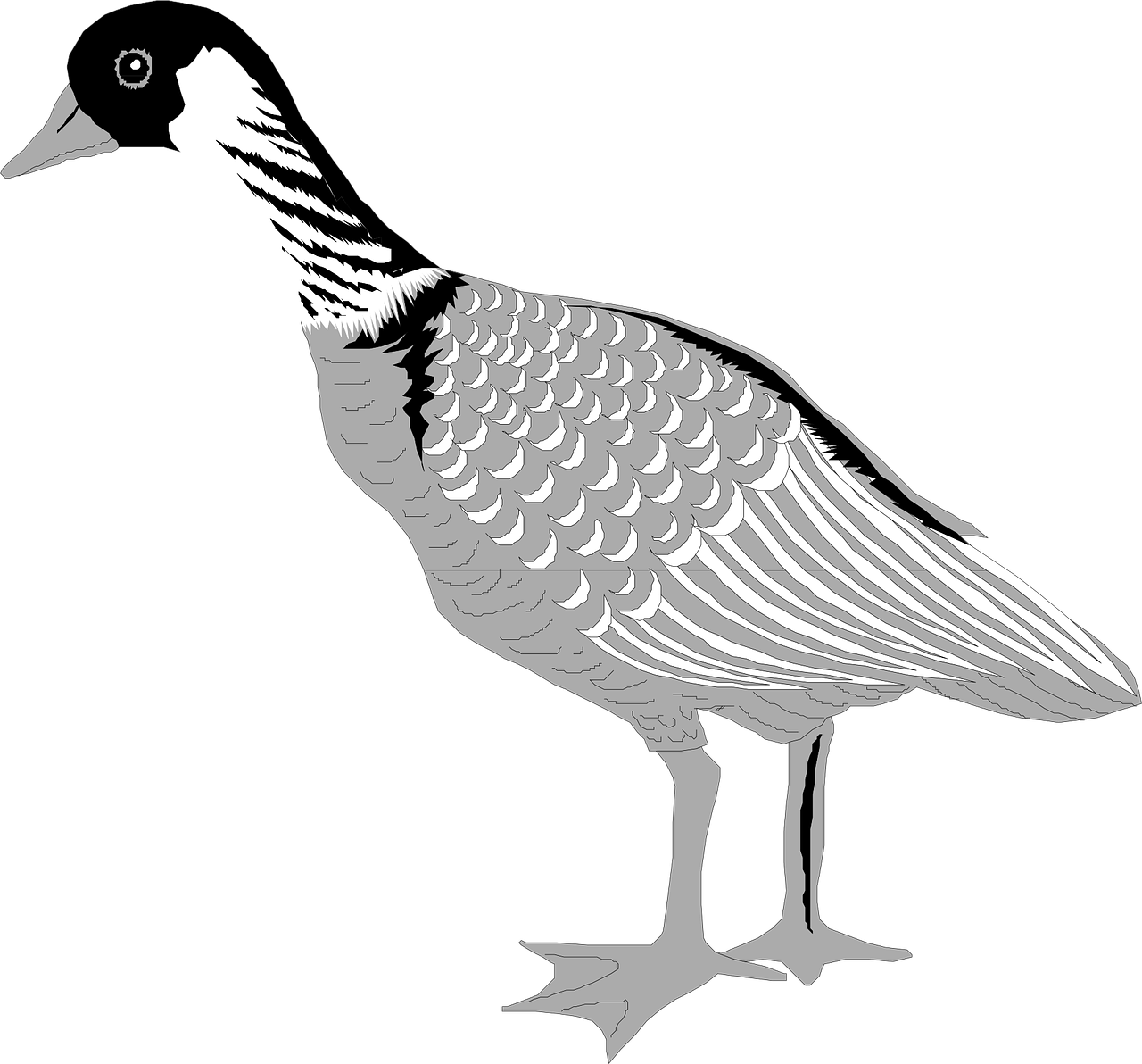 Goose Bird Waterfowl Grey Black Png Image - Goose (1280x1192)