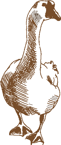 Company Products - Printing (290x600)