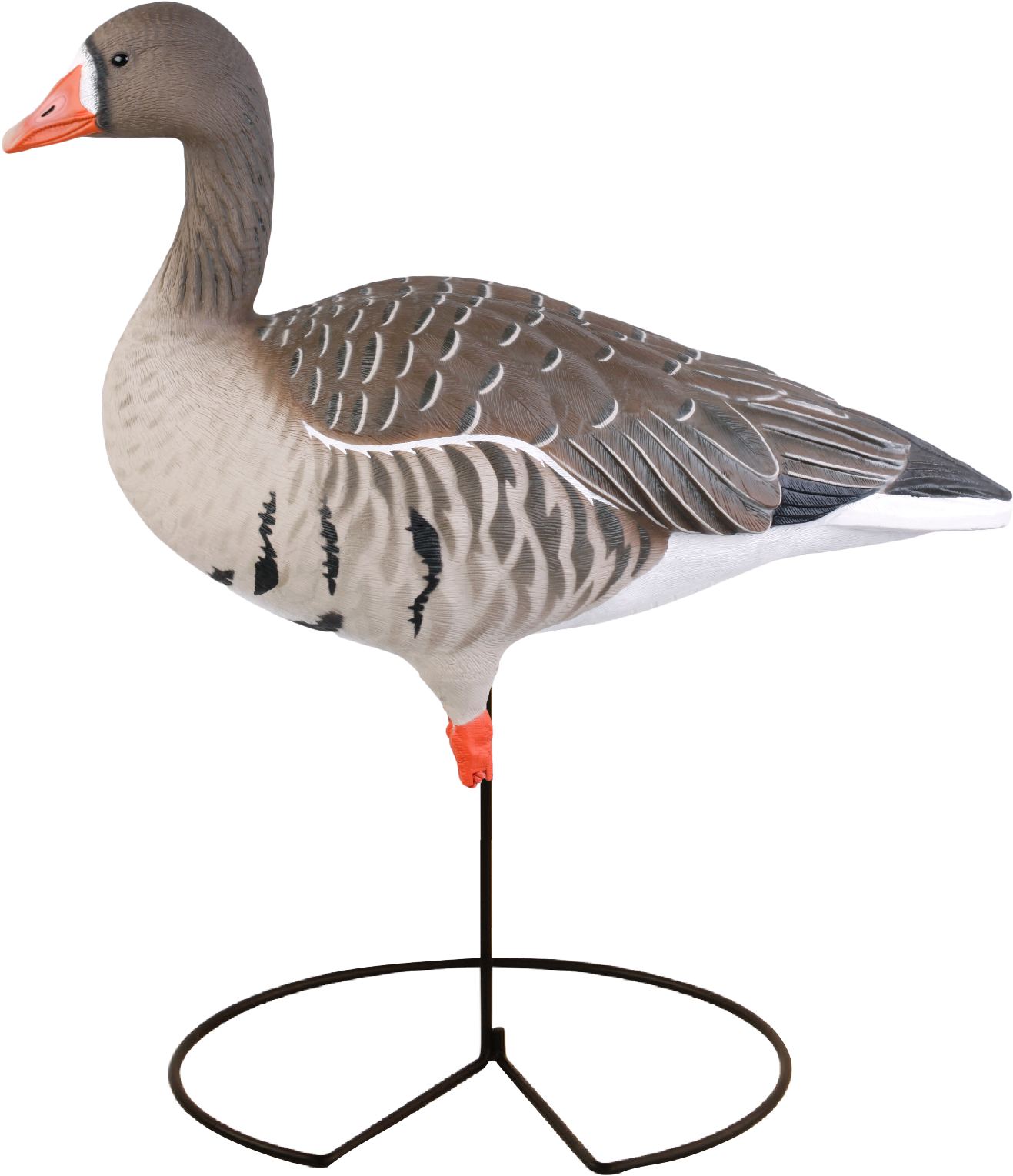 Avery Greenhead Gear Ghg Pro Fb Specklebelly Goose - Greater White-fronted Goose (1435x1600)