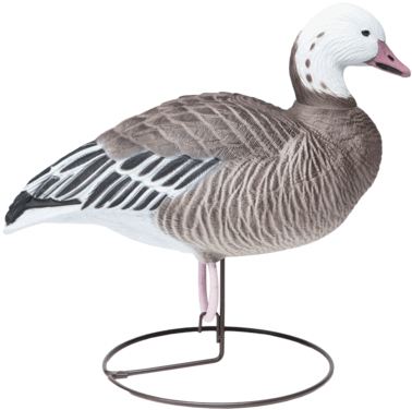 Field Blues Content Goose Hunting Decoy From Final - Snow Goose (400x391)