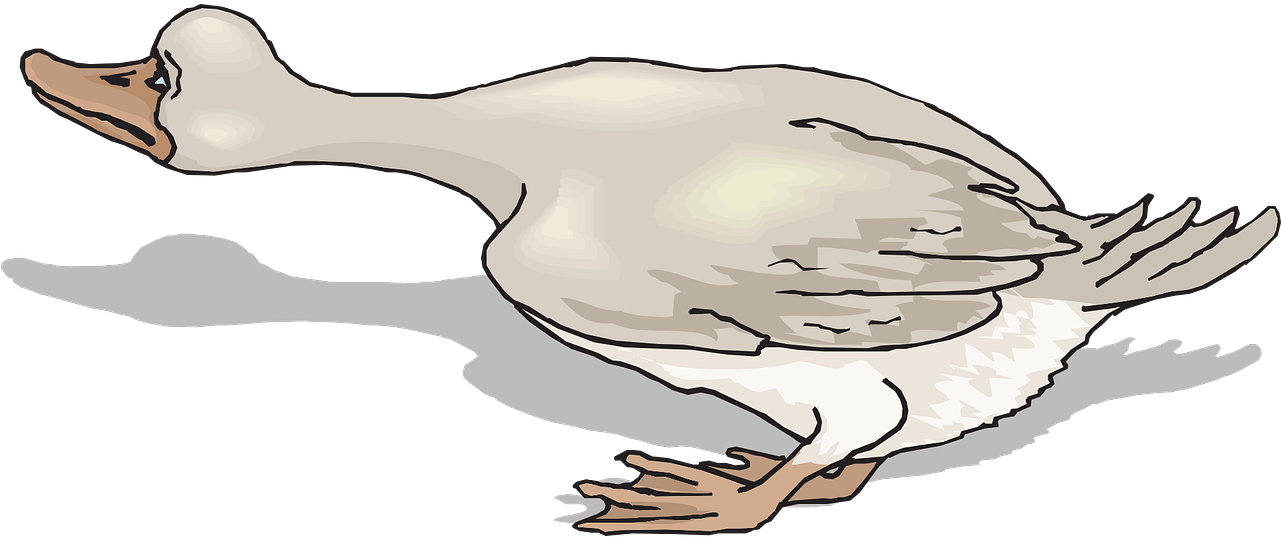 Duck Goose Clip Art - Duck Goose Clip Art (1280x640)