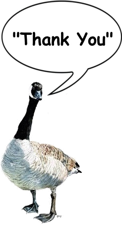 Canada Goose Expert Choo Love Rosenbloom From Our Sister - Canada Goose (263x460)