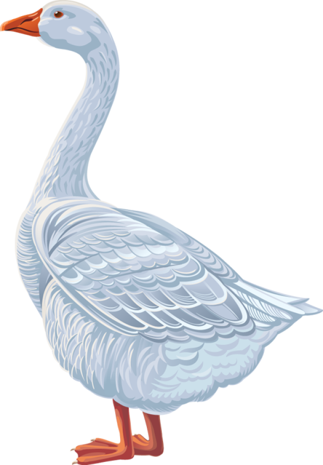 Goose Clipart - Farm (640x923)