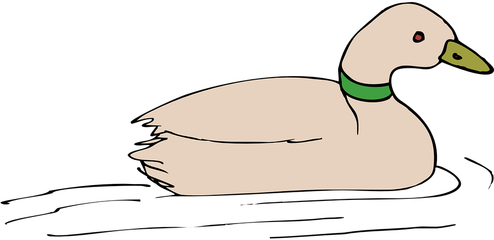 Goose Cliparts 19, - Duck In Water Clip Art (960x480)