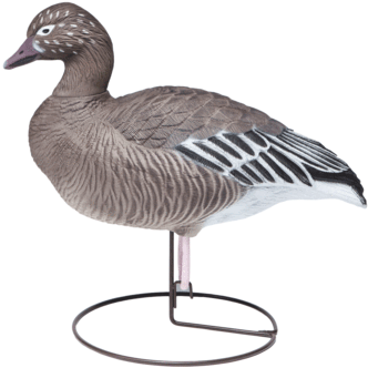 Field Blues Juvenile Goose Hunting Decoy From Final - Mallard (400x345)