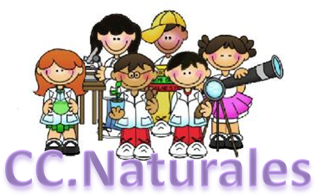 Asignaturas - Science Journal For Students (766x481)