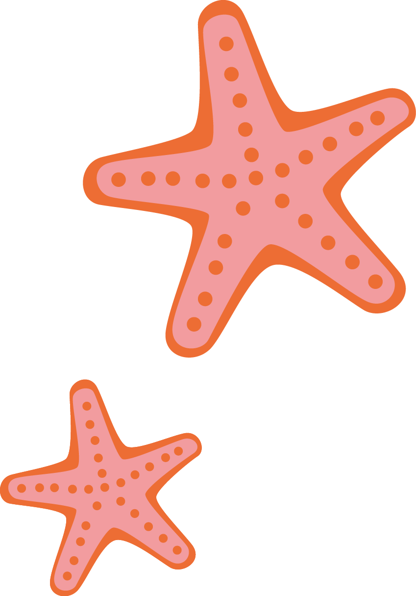 Starfish Cartoon - Starfish Creative - Desenho De Estrela Do Mar (849x1215)