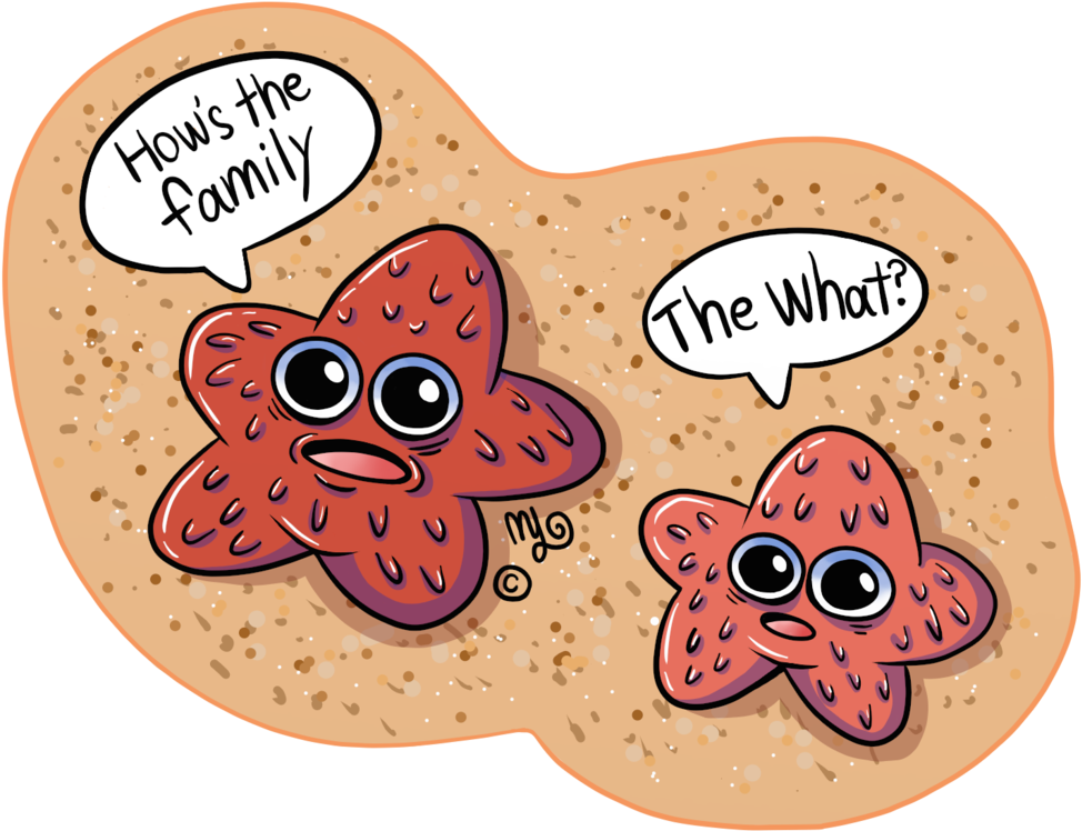 Starfish Jokes By Angry-baby - Starfish Jokes (1024x1024)