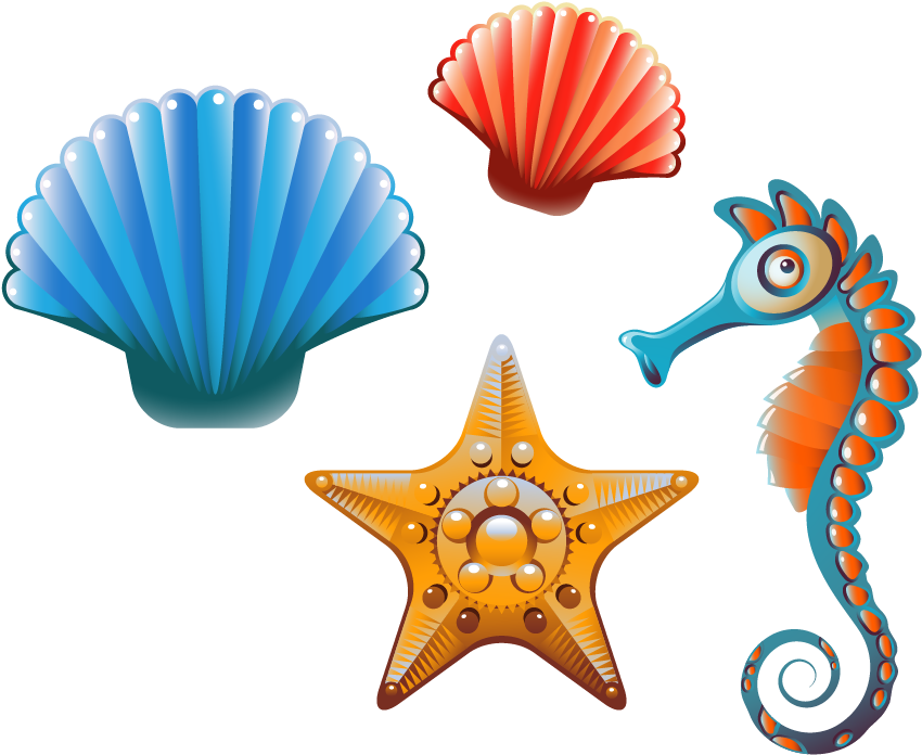 Clam Seashell Cartoon Clip Art - Cartoon Sea Shells (877x882)