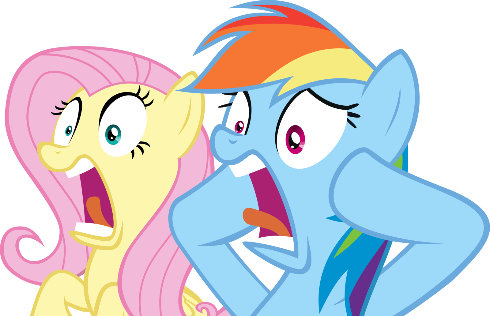 Fluttershy And Rainbow Dash Shocked By Spyro4287 - Rainbow Dash And Fluttershy Gasp (1600x1032)