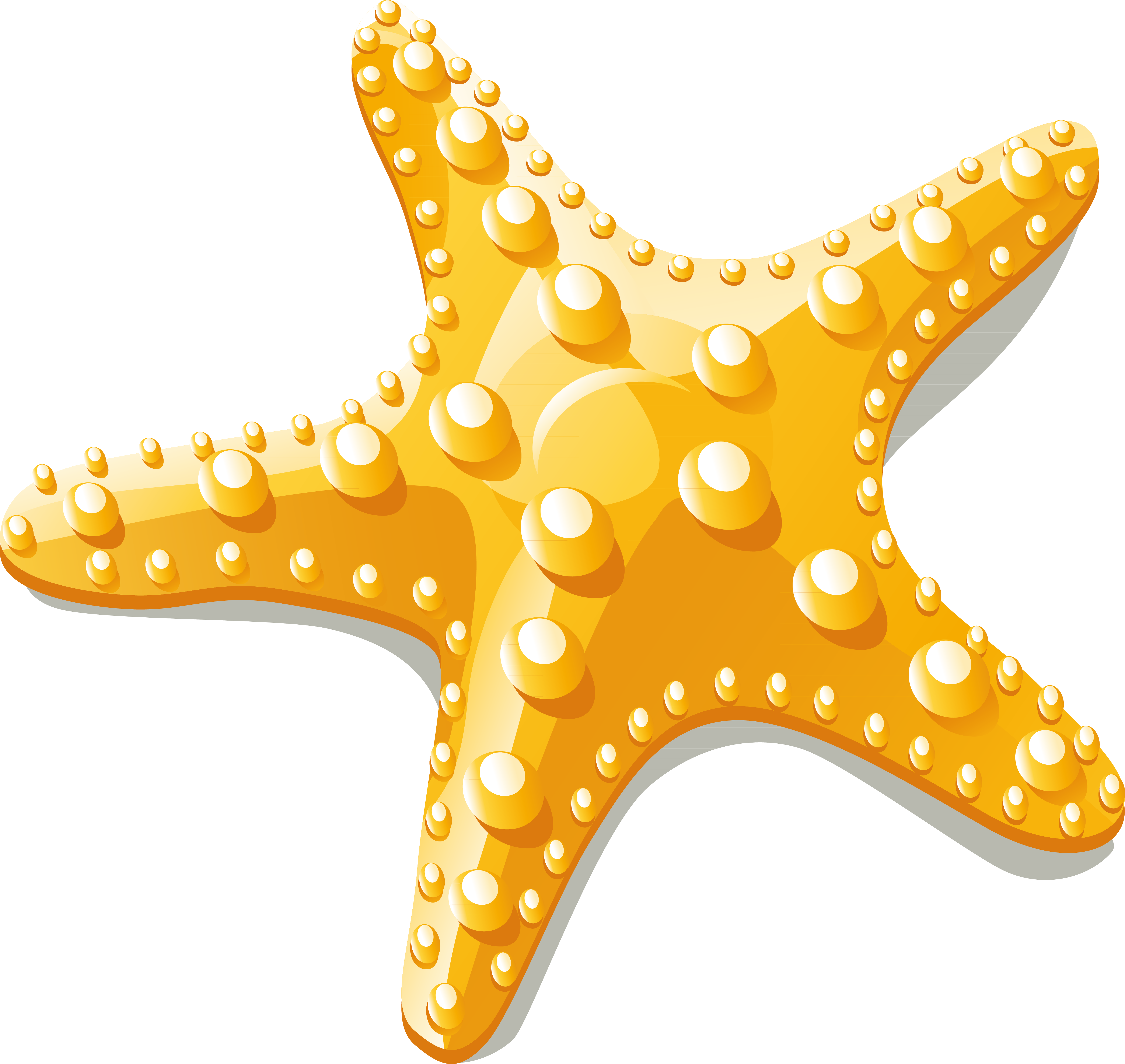 Starfish Euclidean Vector Clip Art - Starfish Clipart Vector Png.
