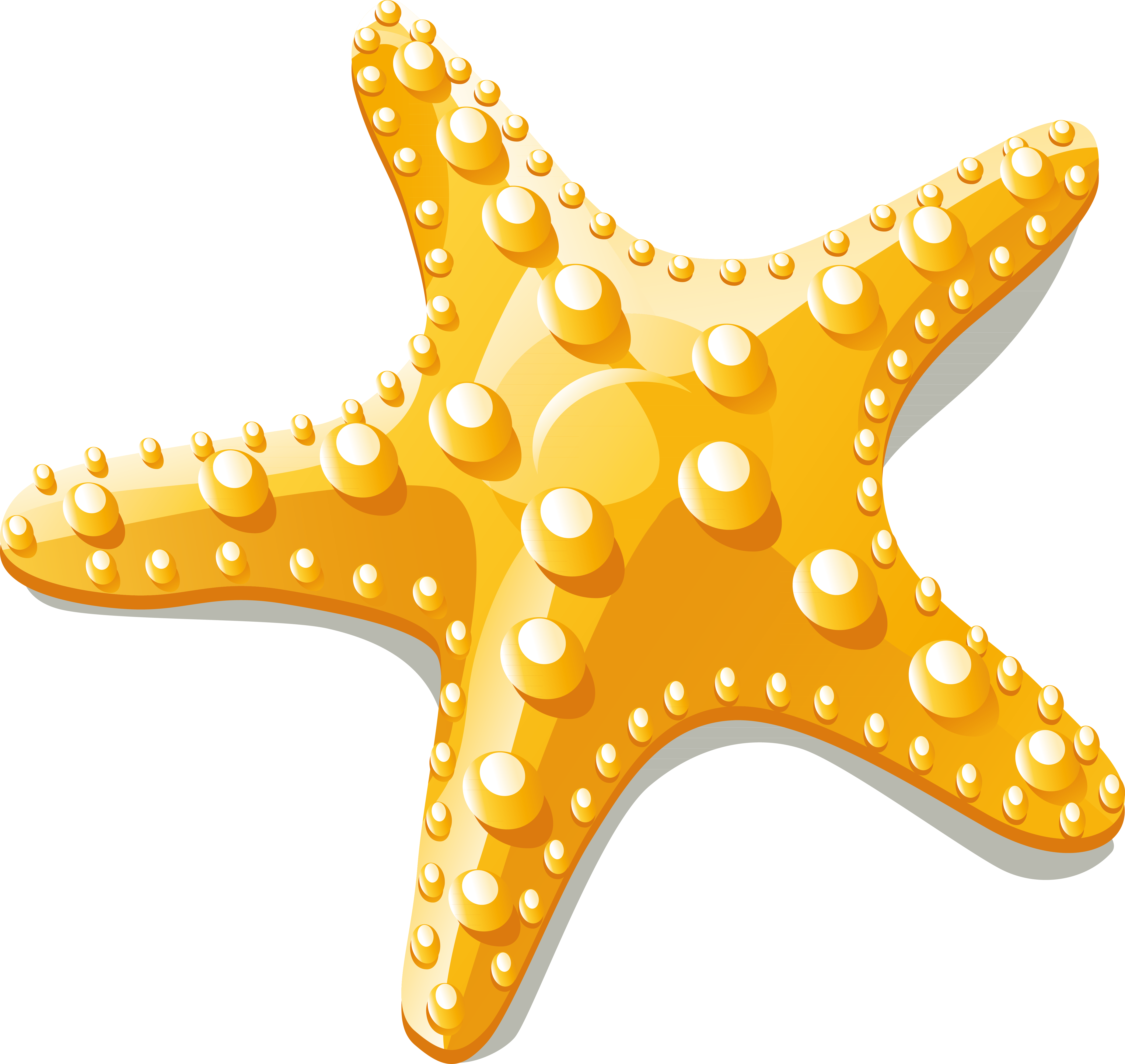 Starfish Euclidean Vector Clip Art - Starfish Clipart Vector Png (5303x5015)