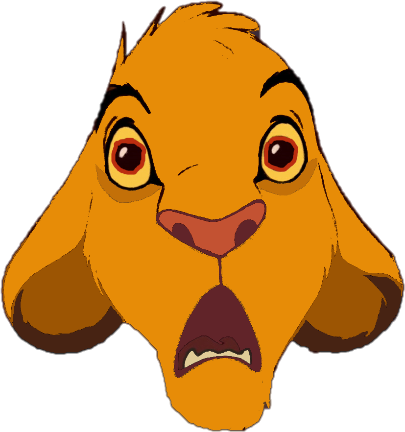 Shocked Simba 2 - Lion King Simba Shocked (920x918)