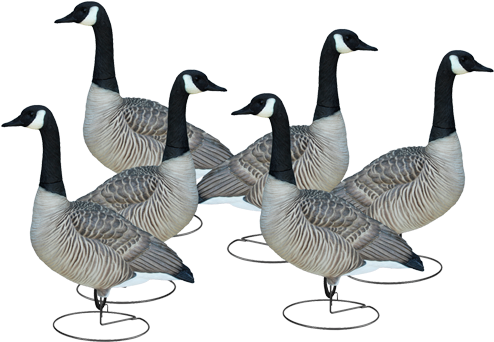 Final Approach Full Body Goose Decoy - Goose (500x500)